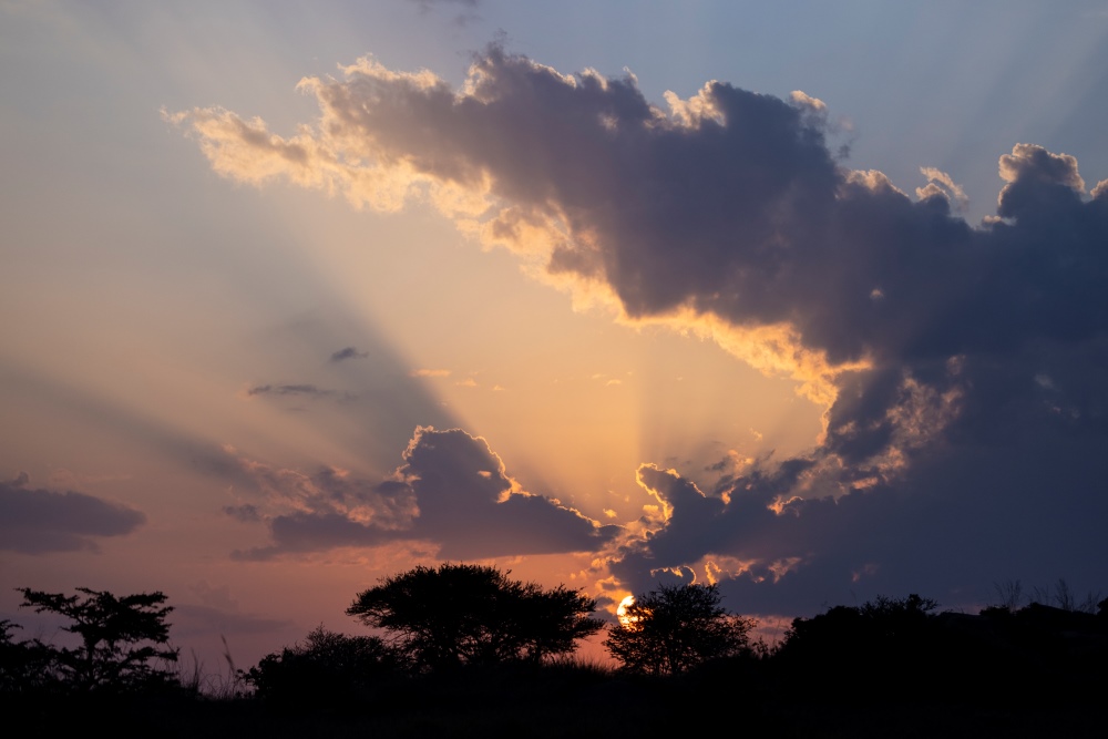 The sun rising in the Serengeti National Park, Tanzania.