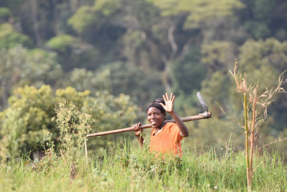 A member of the local community participating in the project, Bwindi, Uganda.