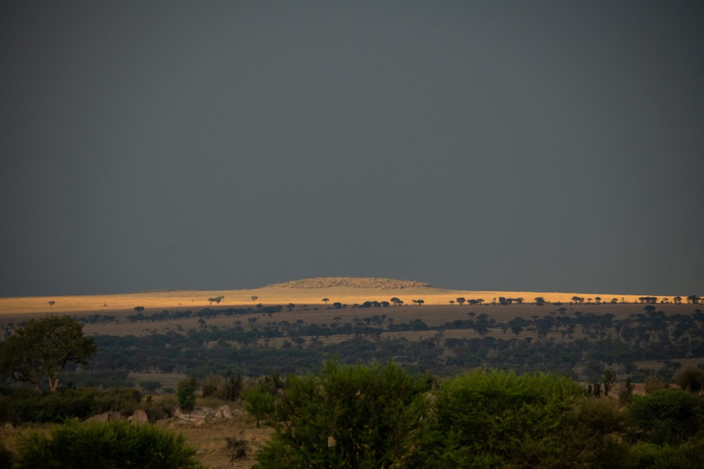 A section of landscape is highlighted by the sun whilst the rest lies within shadow, Serengeti National Park, Tanzania