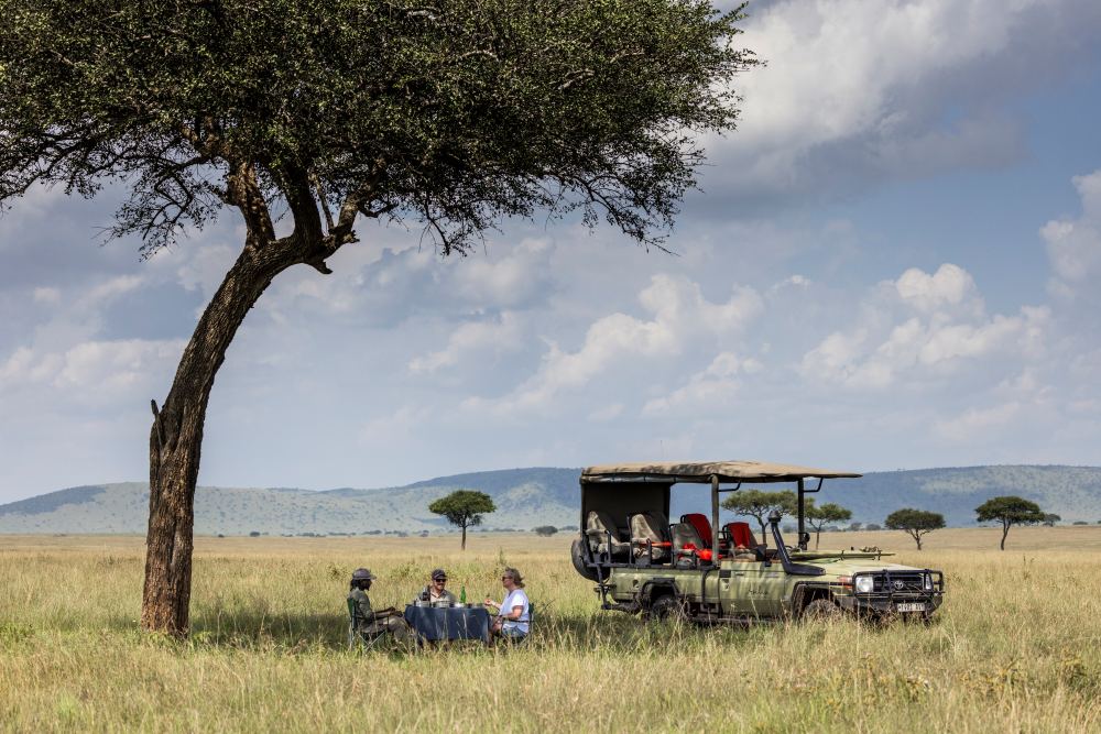 A couple enjoy a picnic lunch with no other vehicles in sight, Serengeti National Park