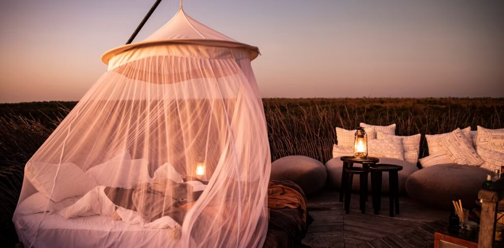 Nay Palad Bird Nest - Segera
