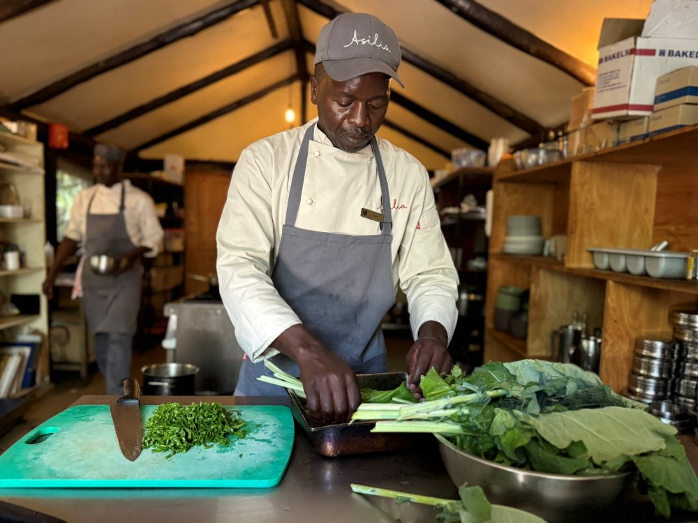 Chef working with freshly picked greens from the vertical farm at Encounter Mara, Kenya.