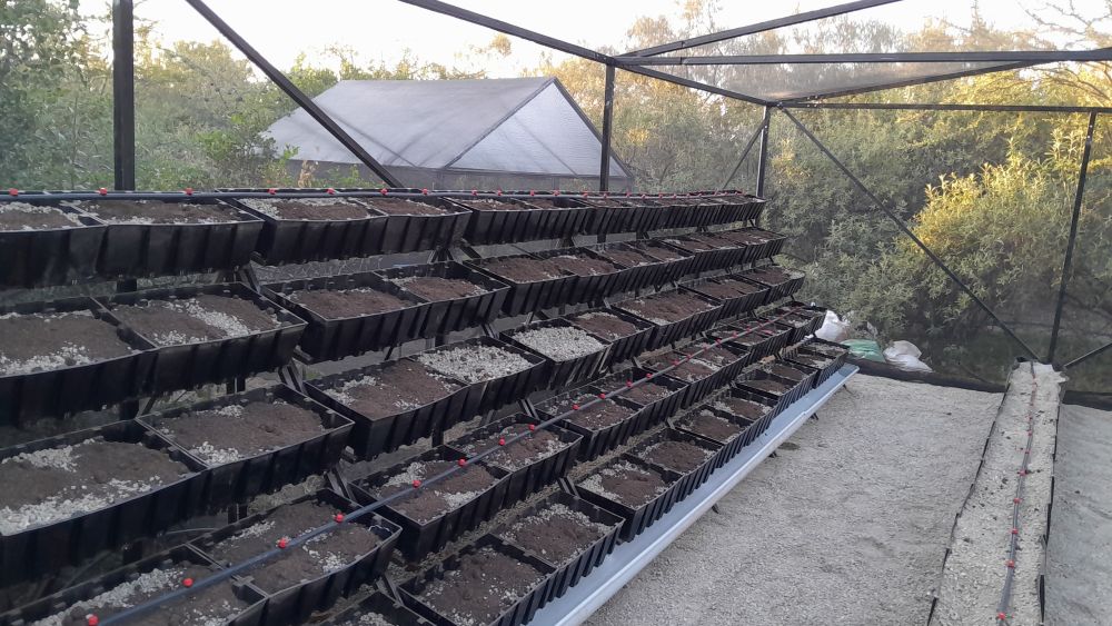 Preparation of the garden space prior to planting, Encounter Mara, Kenya.