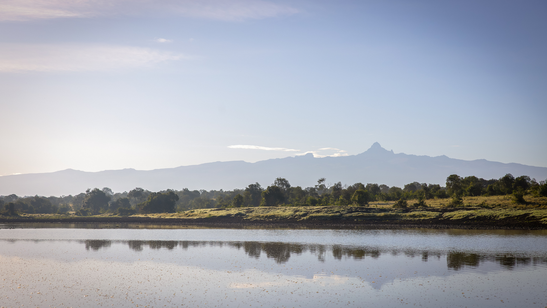 a view over mount kenya from ol pejeta conservancy, asilia africa