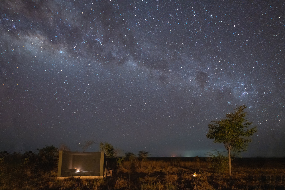 Safari night sky