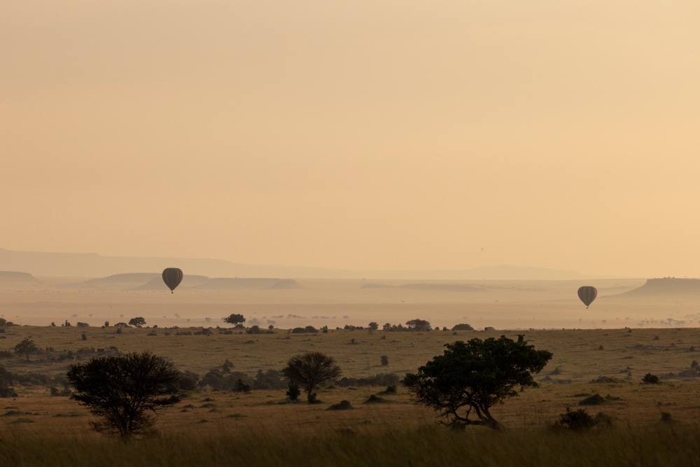 Two hot air balloon drift over the Serengeti at sunrise, northern Tanzania.