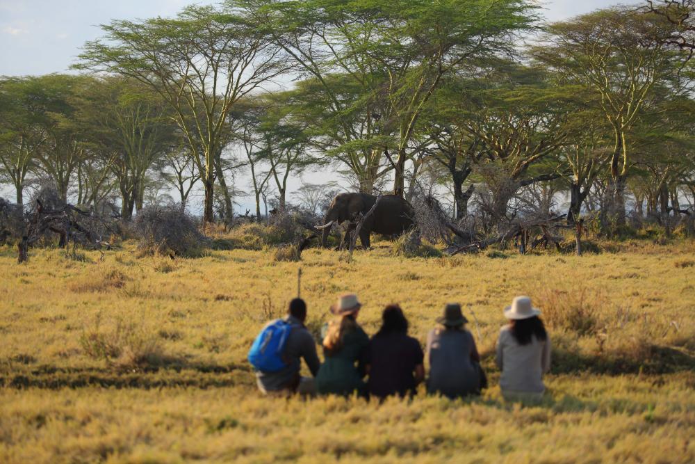 A bright blue backpack is glaringly obvious amongst neutral safari tones.