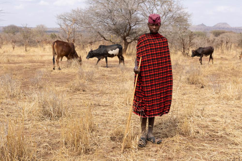A local herdsman with his cattle in Randilen WMA, Tanzania.