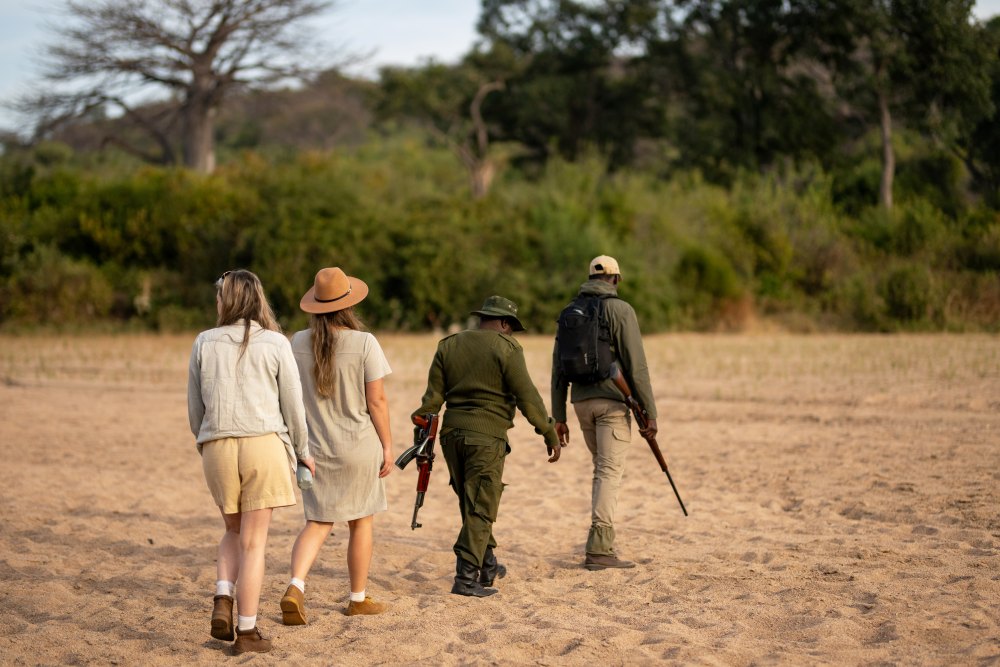 Guests walking in a dry river bed, Ruaha National Park, Tanzania