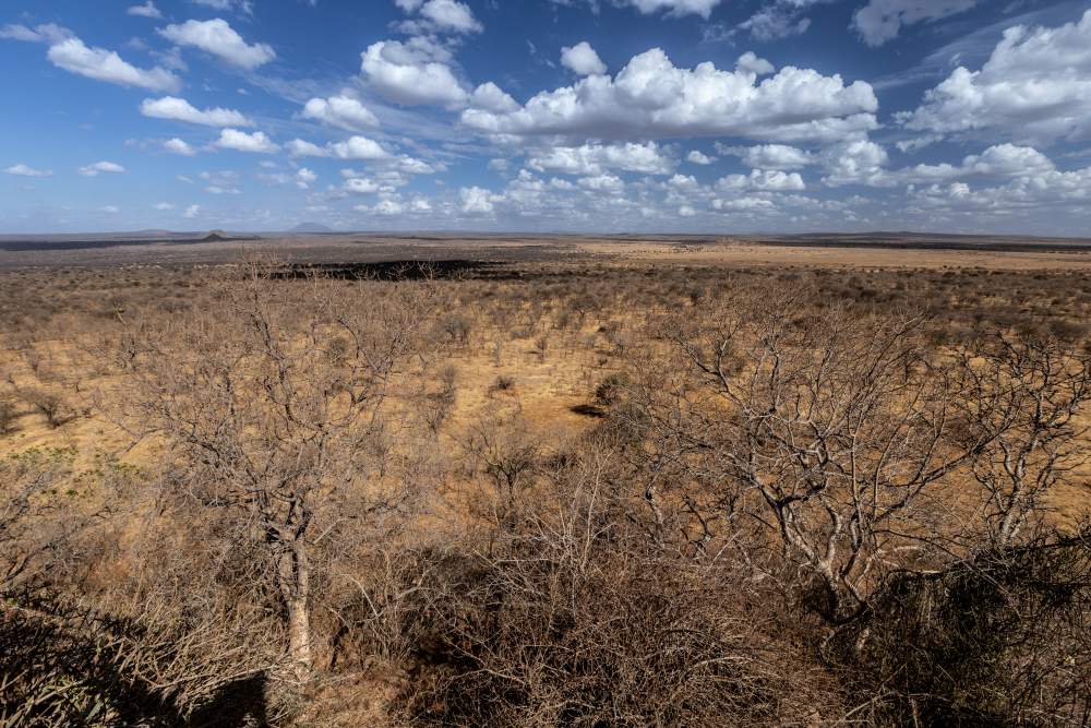 A view over Randilen WMA, Tanzania.