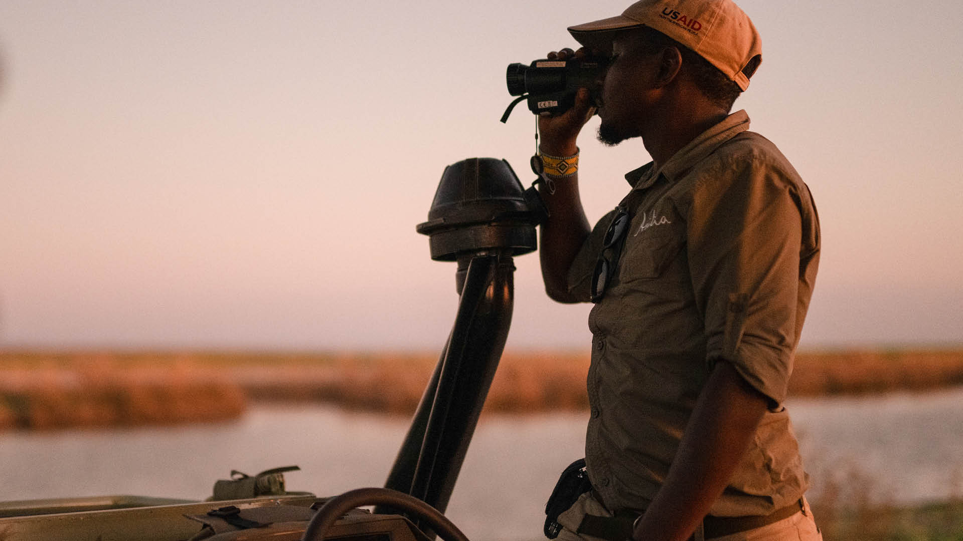 Safari guide scanning the savannah with binoculars at sunset, searching for wildlife