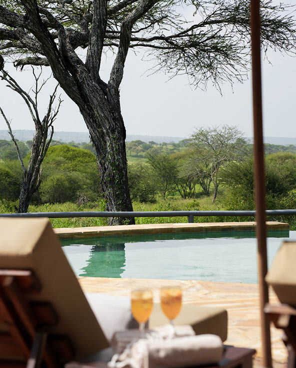 Two loungers by a swimming pool with drinks on the side table, overlooking acacia trees and the Tarangire landscape.