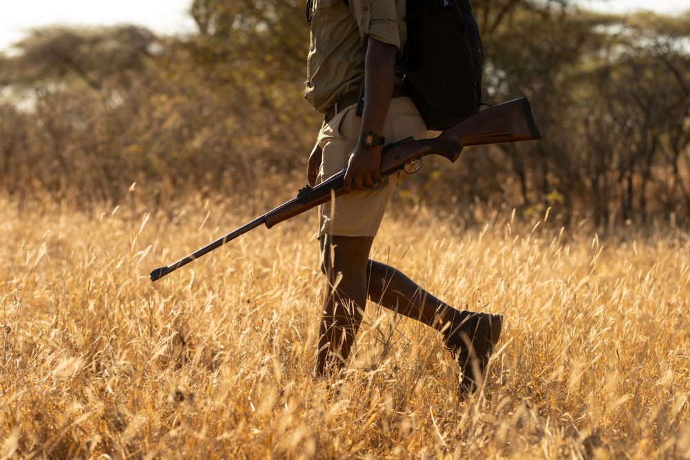 A walking safari guide in the golden grass, southern Tanzania