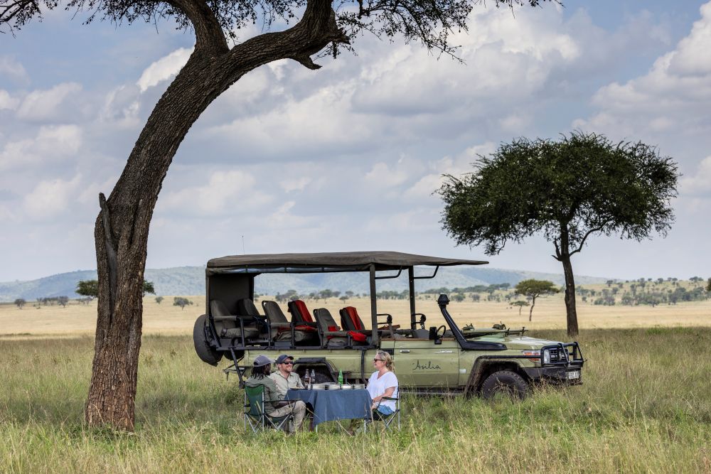Guests enjoy a picnic lunch in the Serengeti National Park, Tanzania.