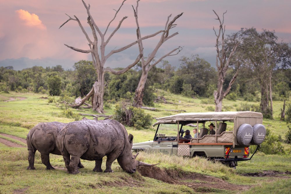 Guests viewing rhinos in the Ol Pejeta Conservancy, Kenya