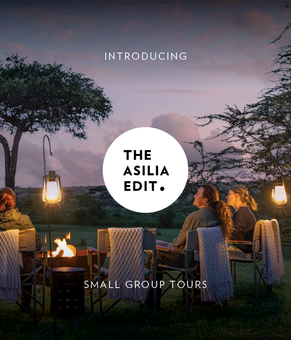group of girls sat around the camp fire on safari in east africa