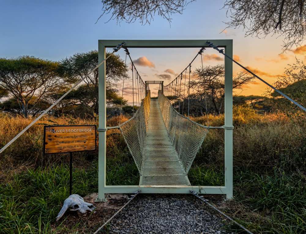 The Oliver's footbridge, Oliver's Camp, Tarangire National Park.