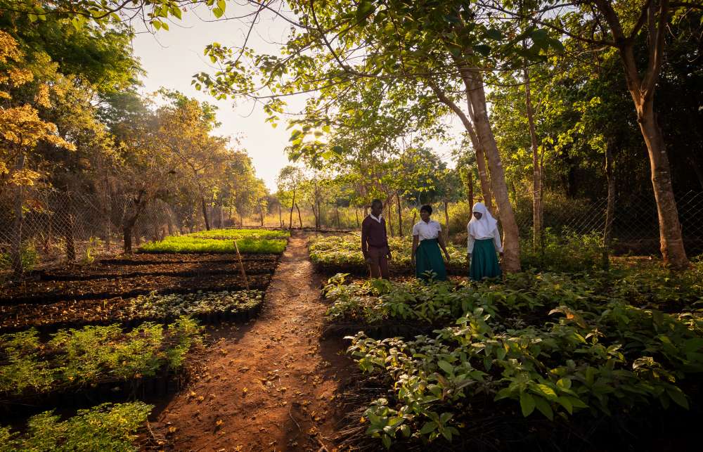 Children in the seedling nursery, southern Tanzania