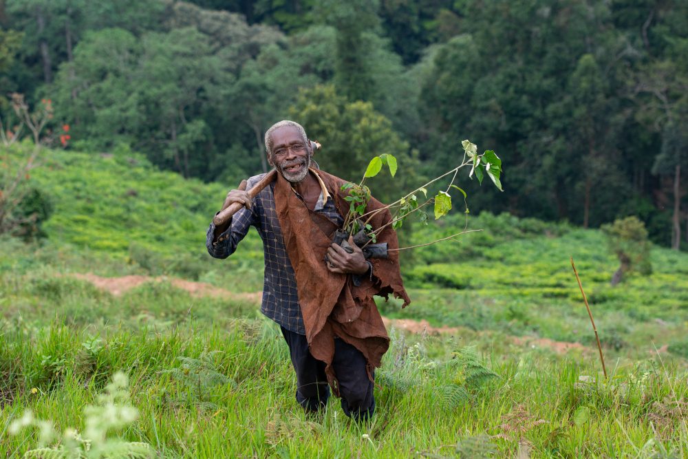 A Batwa man involved in the reforestation project at Erebero Hills, Uganda.