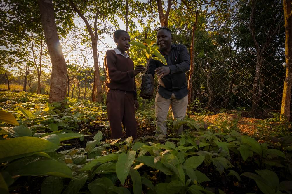 A child learns about the trees in the nursery, southern Tanzania.