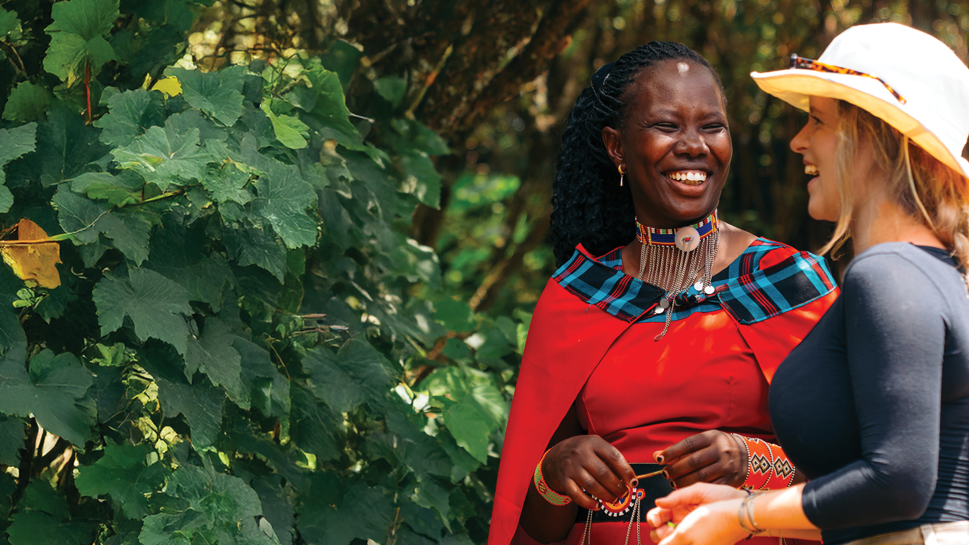 emboo team and a guest on a medicinal walk
