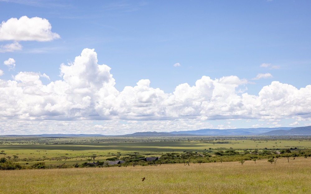 Les plaines ouvertes du Mara Naboisho Conservancy, Kenya.