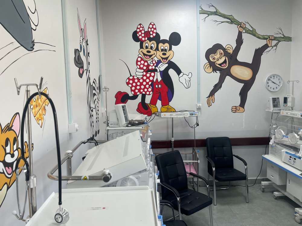 Cartoon characters on the walls within the child health centre, Kenya.