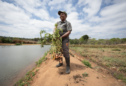 a female small holder farmer stand with her produce in Tanzania