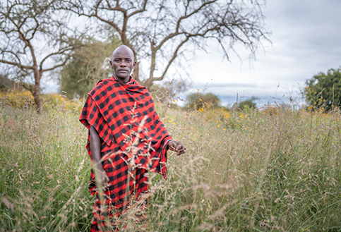 a maasai man stood in the grasslands of tanzania