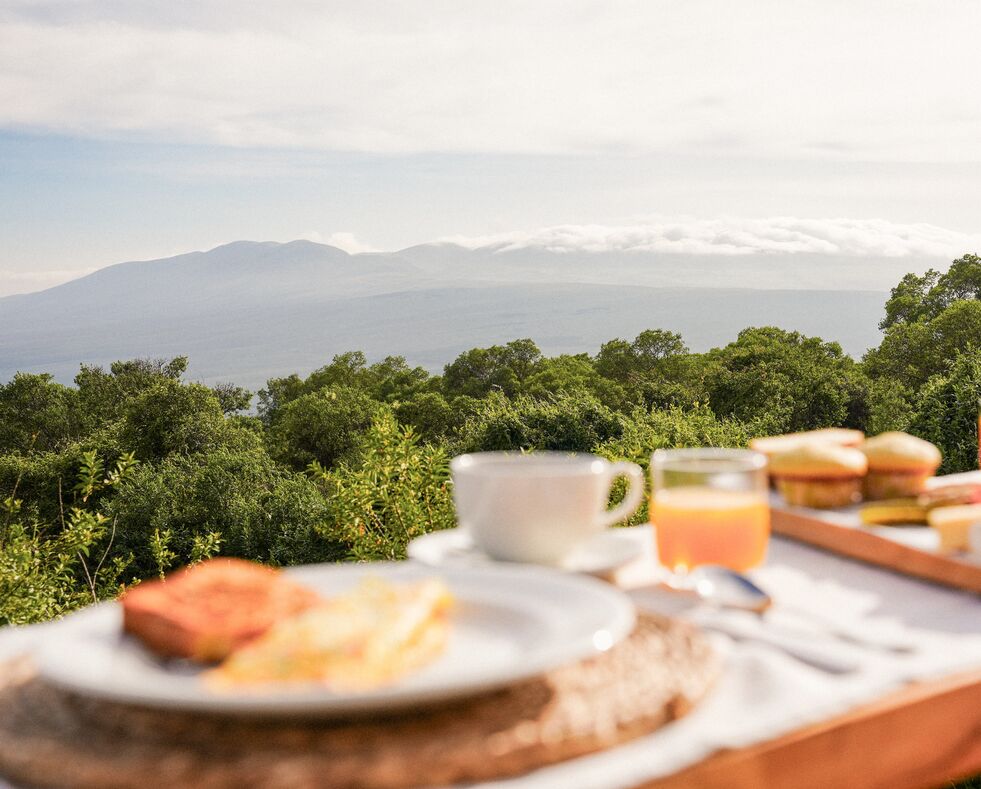 A breakfast table set with coffee, juice, and pastries in the foreground, overlooking lush green forest and distant misty mountains in the Ngorongoro Highlands under soft morning light.