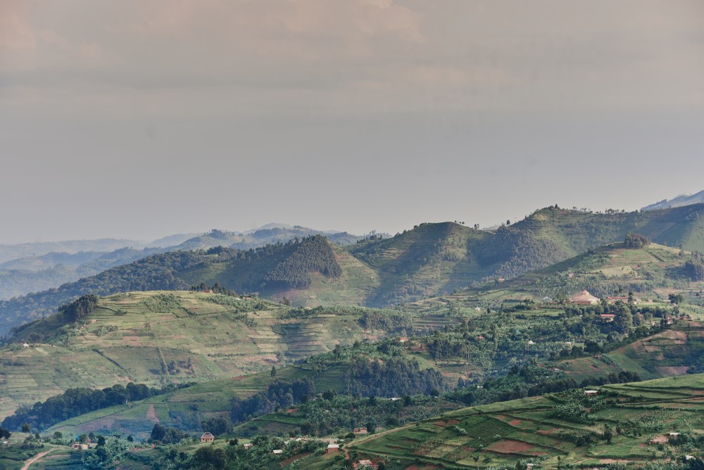 The slopes of all surrounding hills are all utilised by agriculture, Uganda.