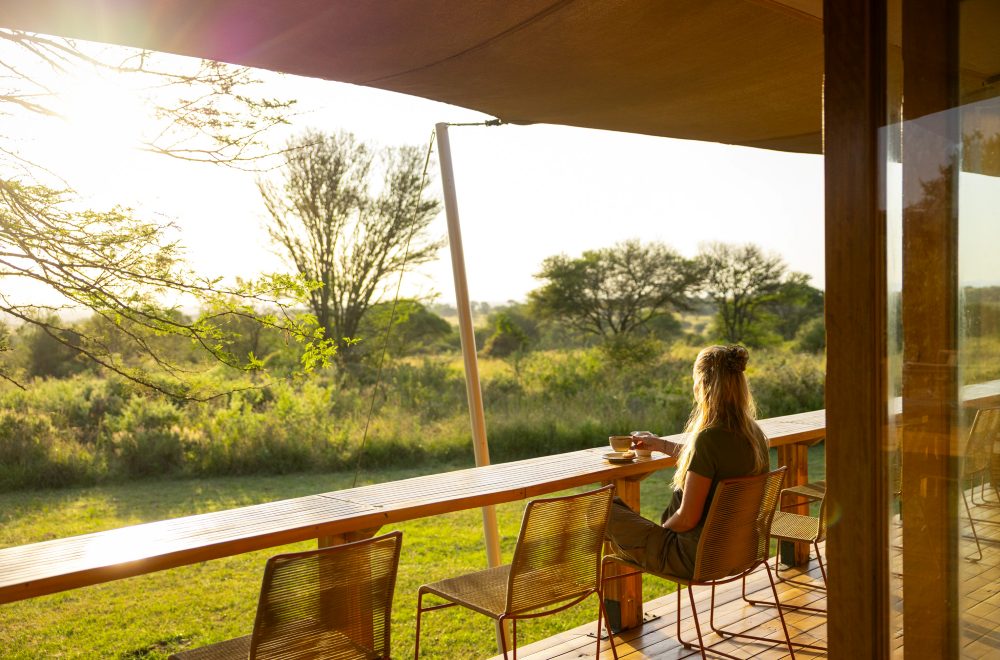 Le café-bar du camp Sayari, parc national du Serengeti, Tanzanie.