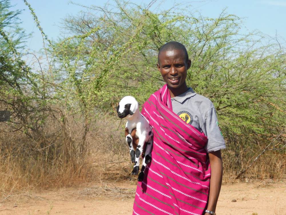 A Lion Defender with a rescued lamb, Tanzania