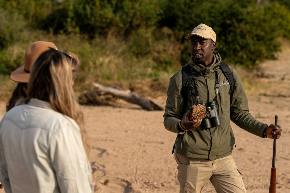 A walking safari in Ruaha National Park, Tanzania.