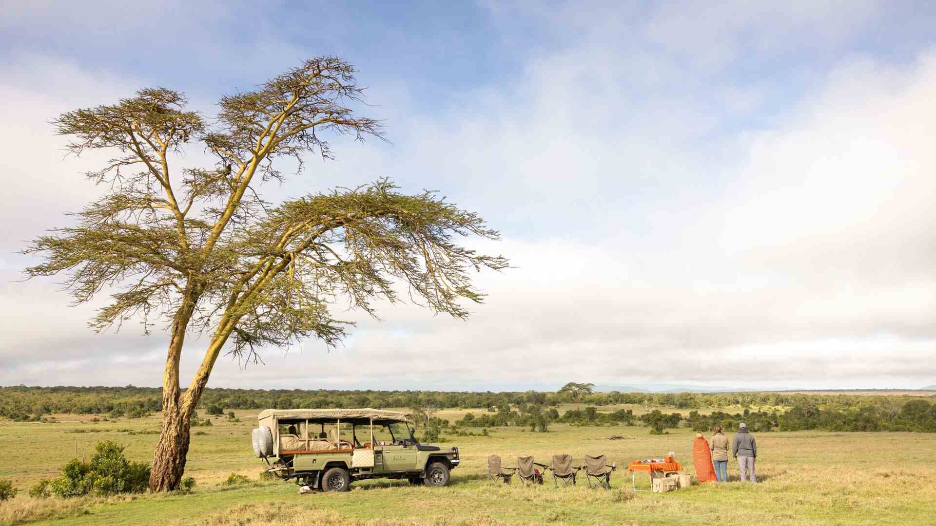 An Asilia Africa safari vehicle parked beneath a tall acacia tree on the open Ol Pejeta plains, with camp chairs and a bush breakfast set up alongside as guests take in the sweeping green landscape, Kenya.