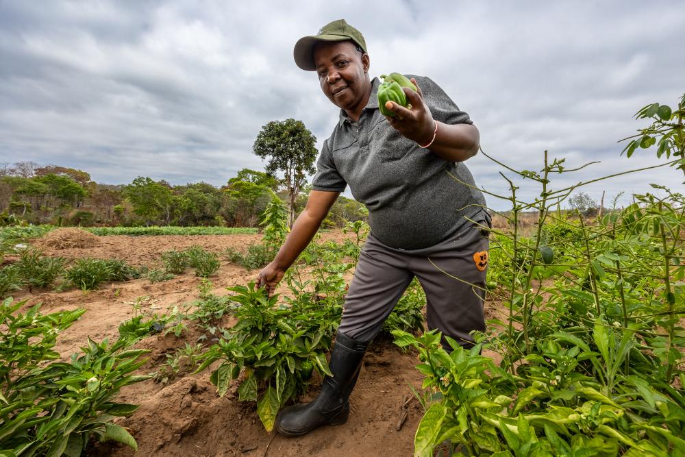 A farmer with her vegetables in Southern Tanzania.