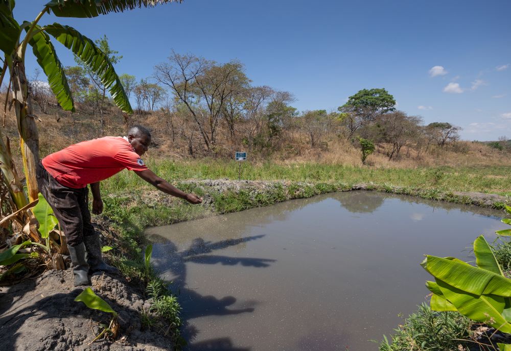 A farmer feeding his fish, Southern Tanzania.