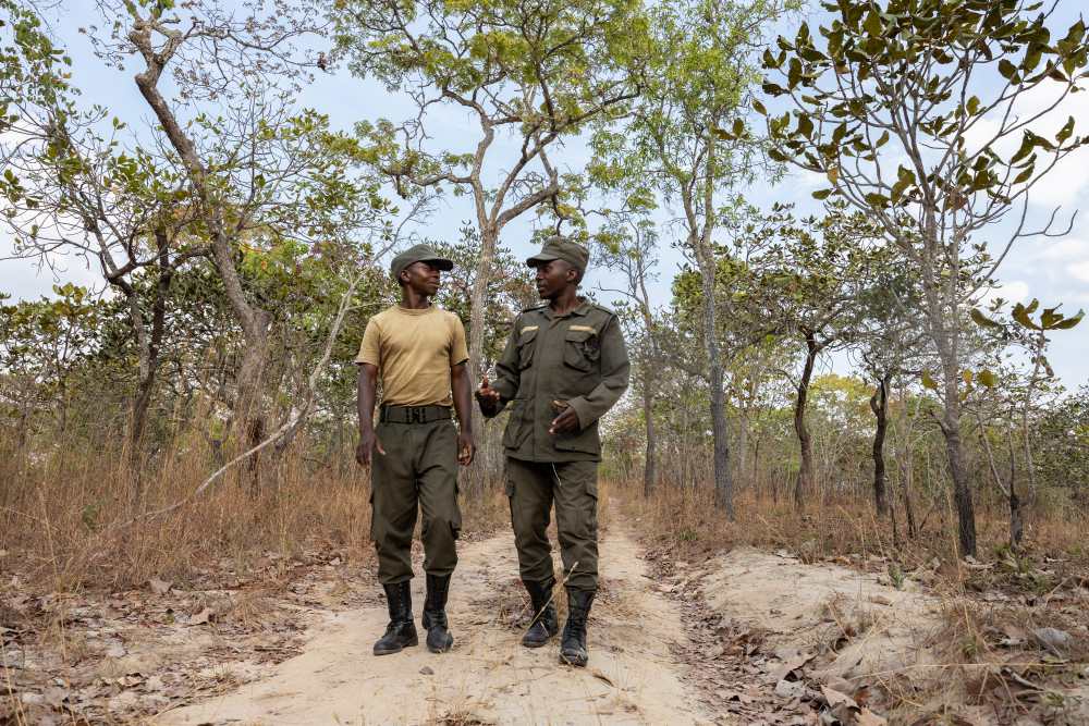 Rangers on patrol in a WMA in Southern Tanzania.