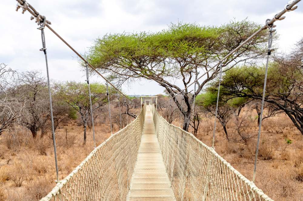 Elevated bridge, Oliver's Camp, Tarangire National Park.