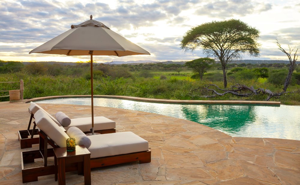 The swimming pool offers views over Tarangire National Park, Tanzania.
